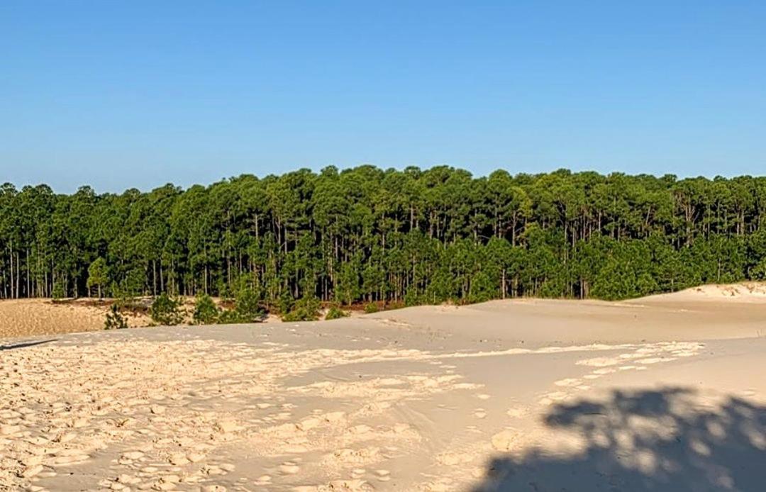 Вілла Quinta Do Mocambique Флоріанополіс Екстер'єр фото