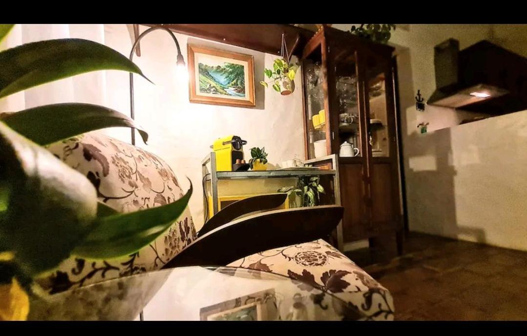 Вілла Quinta Do Mocambique Флоріанополіс Екстер'єр фото